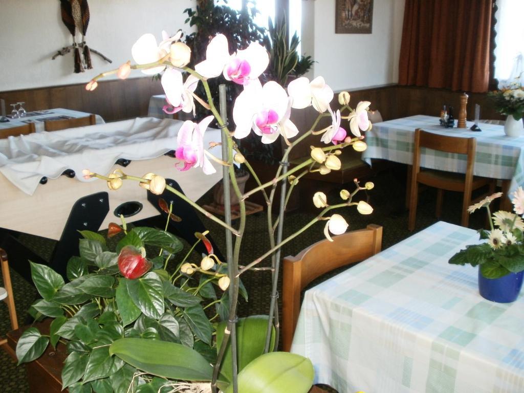 Hotel Pez Ault Disentis Kültér fotó